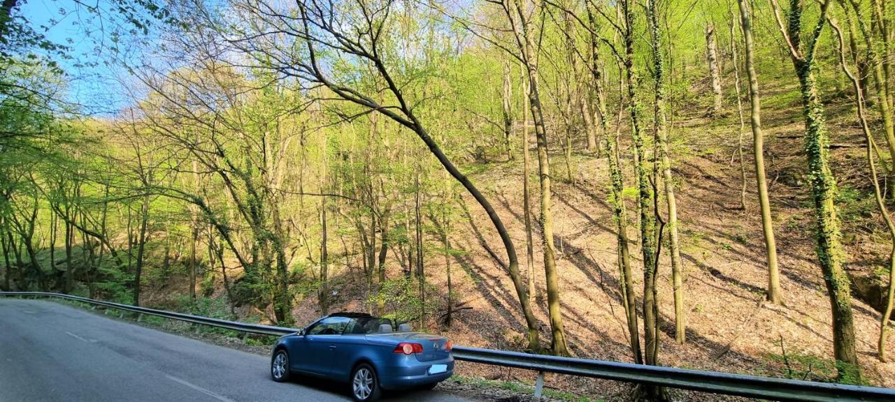 Hos-Cegledi Vendeghaz Miskolc -Oenallo Otthon, Mely Csak Az Oenoeke Экстерьер фото