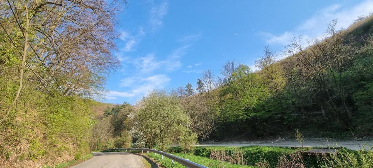 Hos-Cegledi Vendeghaz Miskolc -Oenallo Otthon, Mely Csak Az Oenoeke Экстерьер фото