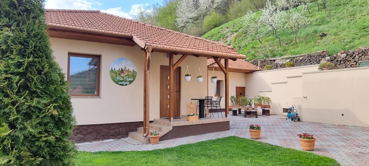 Hos-Cegledi Vendeghaz Miskolc -Oenallo Otthon, Mely Csak Az Oenoeke Экстерьер фото