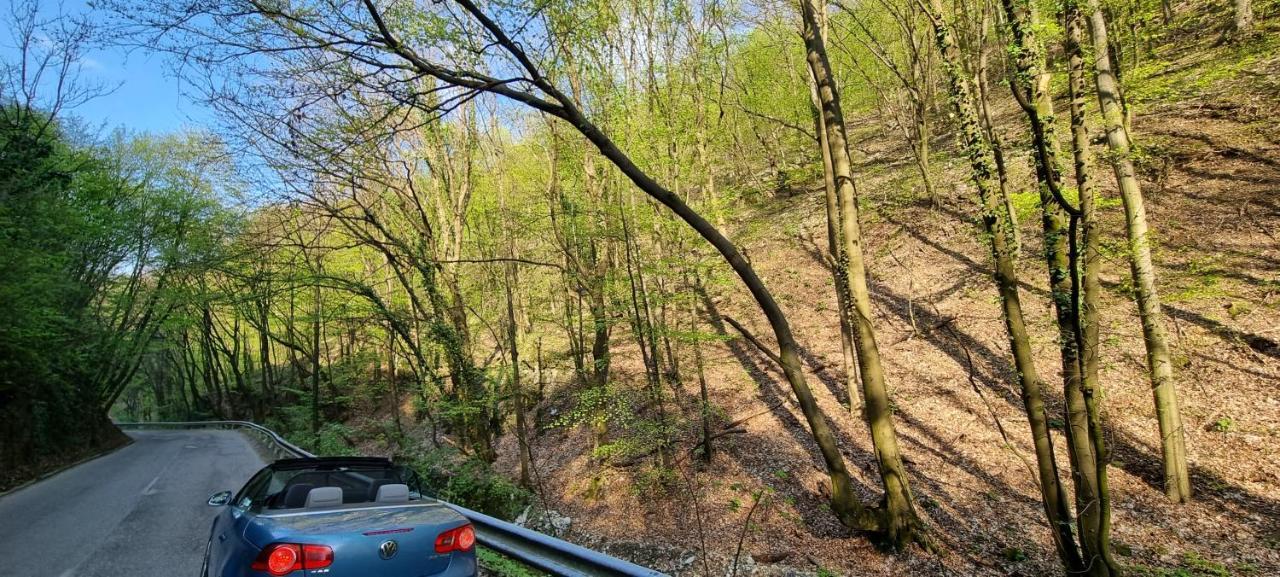 Hos-Cegledi Vendeghaz Miskolc -Oenallo Otthon, Mely Csak Az Oenoeke Экстерьер фото